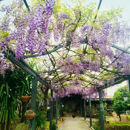 San Paolo Bed & Breakfast Campagna